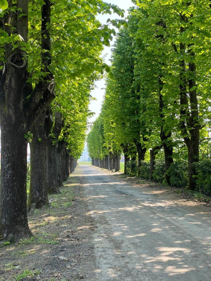 Villa Tenuta Pizzone Rivanazzano Terme Exterior foto